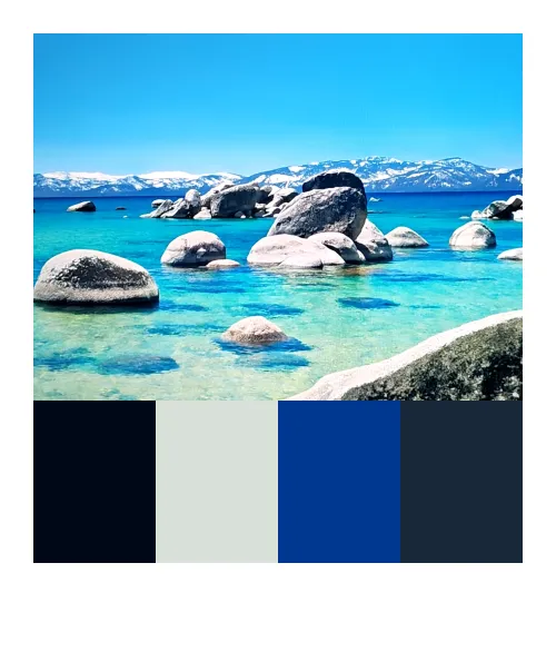 Catch 01kjpzsn9292hyfed9x38wz5qa