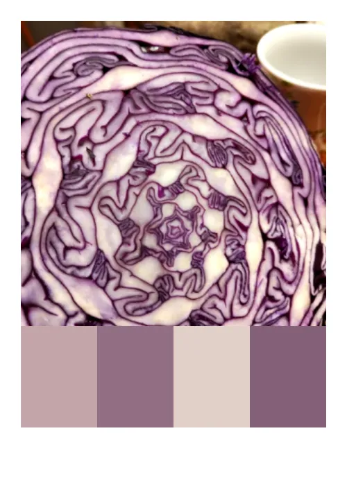 Catch 01kjx6jxjcmndhsk964nfcdhp0