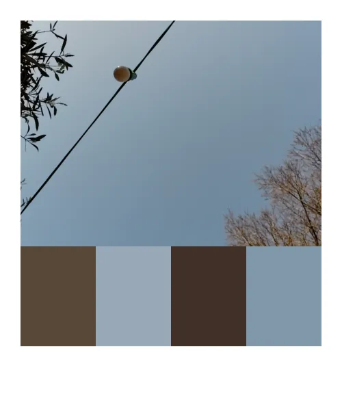 Catch 01kjx9mgtm6t9sw1pbp47x17y7