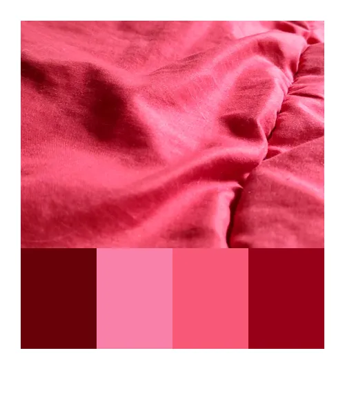 Catch 01kjybcwm8n3zr2avgkzkghc5z