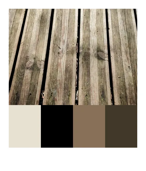 Catch 01kjybde41fez39c25z1psnvnw