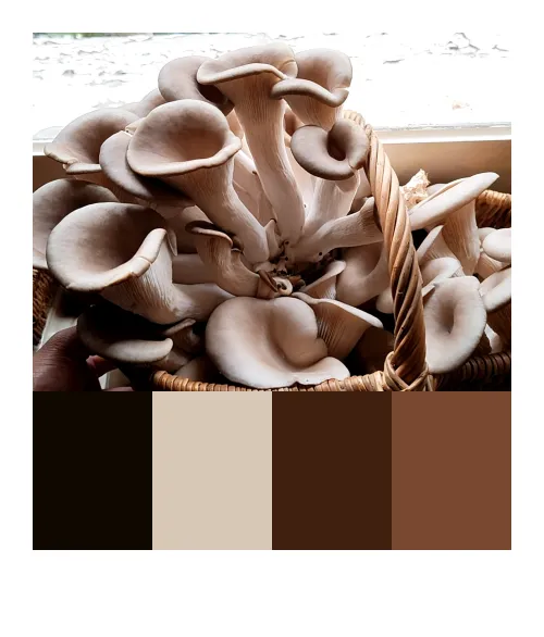 Catch 01kjzcyaffp508y8smmtfdghqa