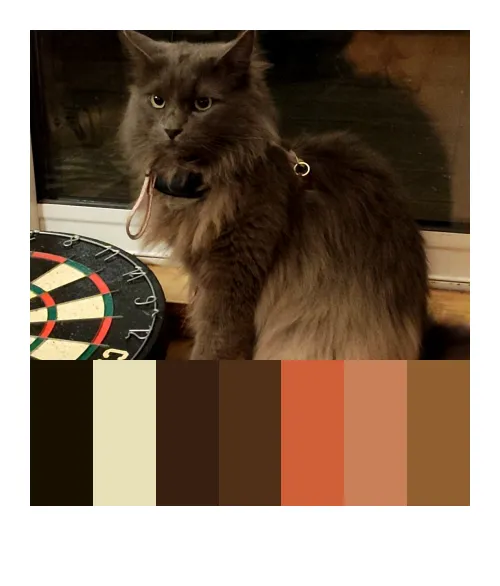 Catch 01kjzrh77zaz240pt825zy55fx