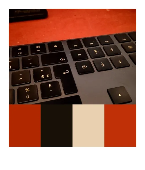 Catch 01kjzyjaqb9sbfrw1rn1y9fj98